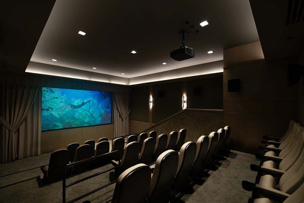 Theater room with a large screen showing an underwater scene and recessed cove lighting